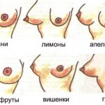 Темперамент женщины зависит от формы груди.